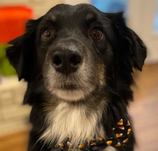 Photo of Finn