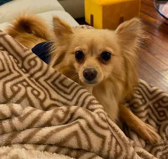 Photo of Lyla