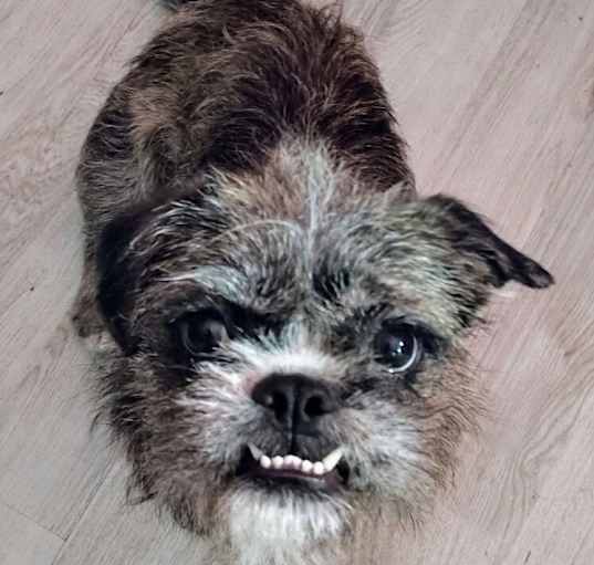 Photo of Laverne AKA Lisa