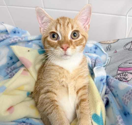 Photo of Jasper