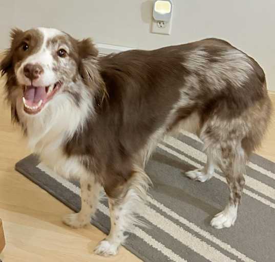 Photo of Lucy