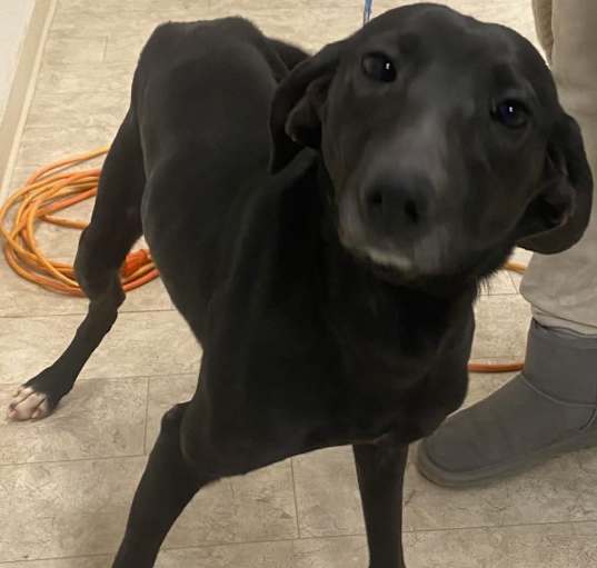 Photo of Hazel