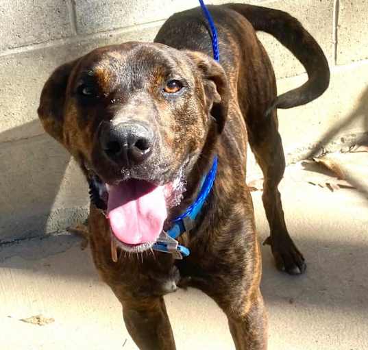 Photo of Tucker