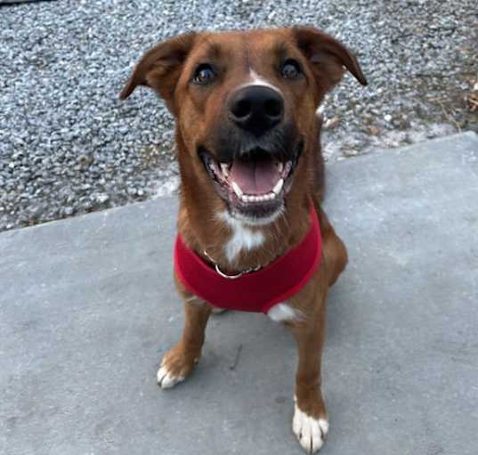 Photo of Cassidy