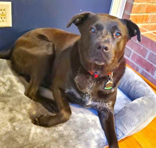 Photo of Molly