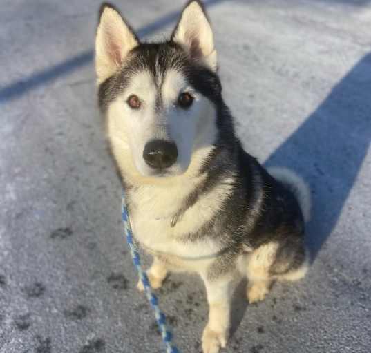 Photo of Kira