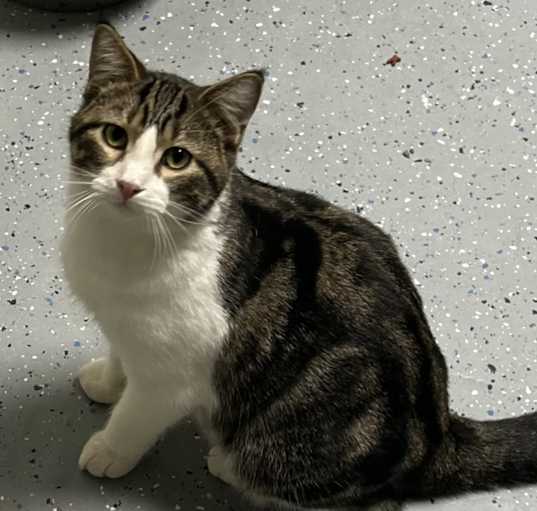 Photo of Kit'N
