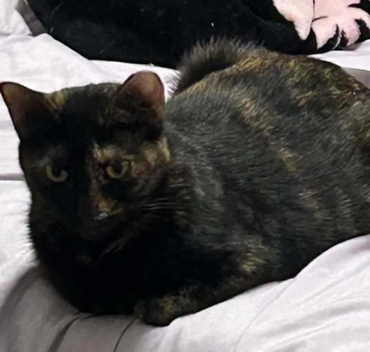 Photo of LUCY