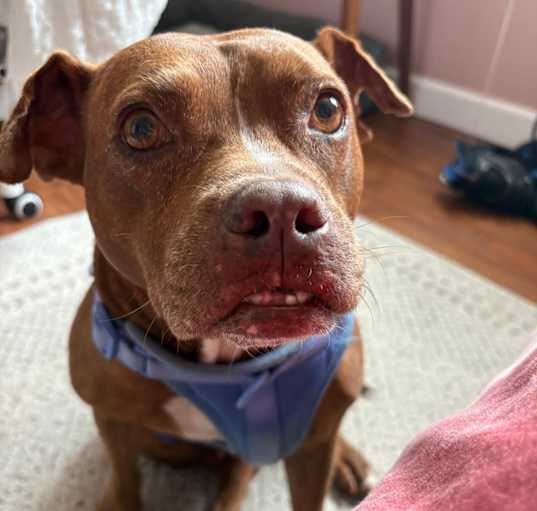 Photo of Ethel