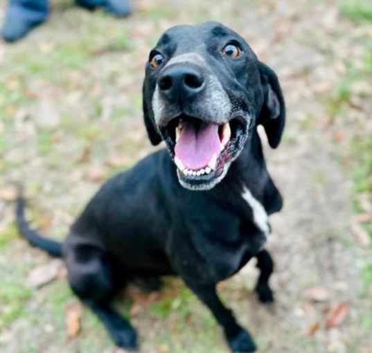 Photo of Turbo