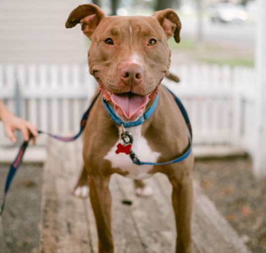Photo of Fiona