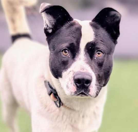 Photo of Benny