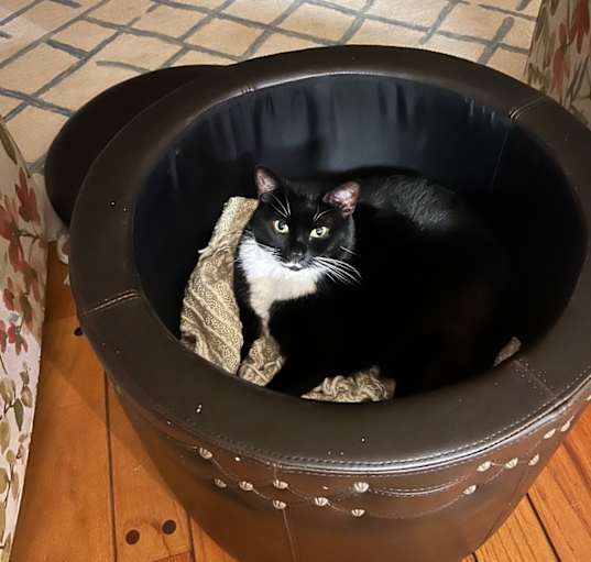 Photo of MiMi