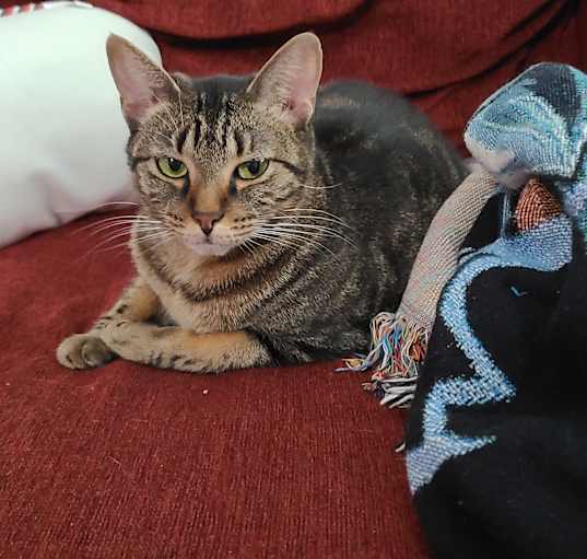 Photo of Tabitha