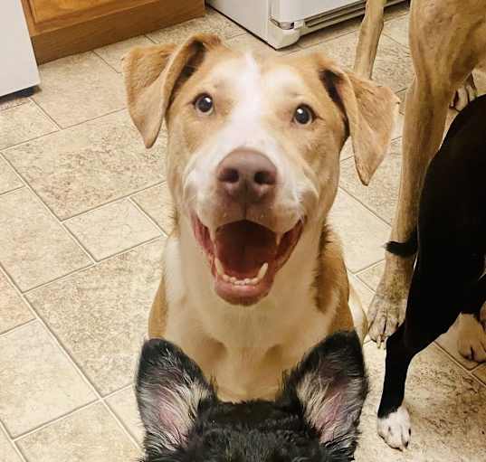 Photo of Abigail - AVAILABLE
