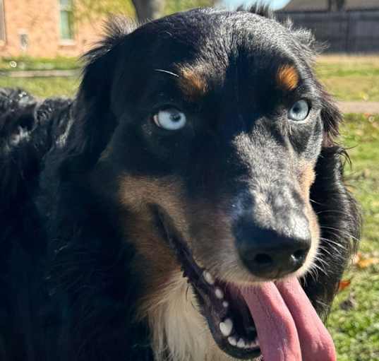 Photo of Kilo