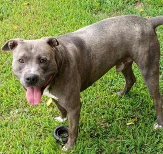 Photo of Remington