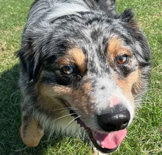 Photo of Tex
