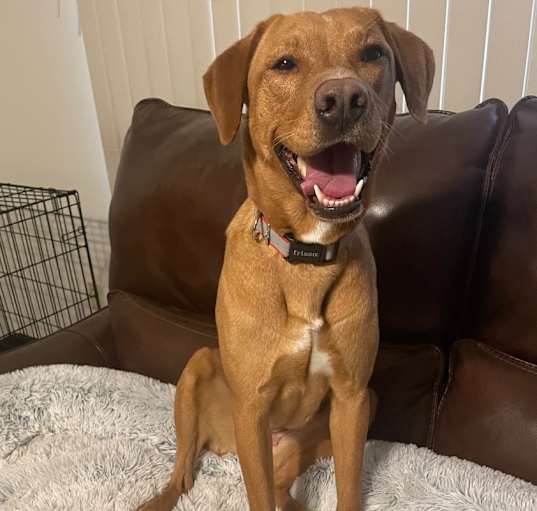 Photo of Daisy
