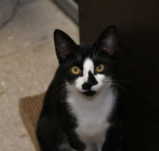 Photo of Ralph