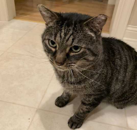 Photo of Urban
