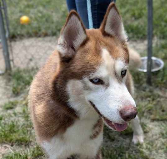 Photo of Drifter