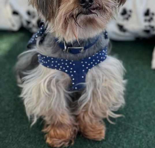 Photo of Larry
