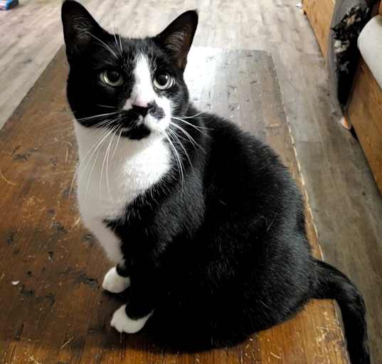 Photo of Stash