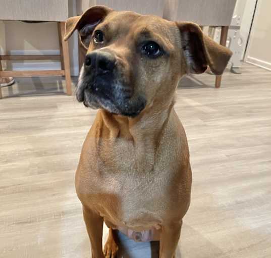 Photo of Taco
