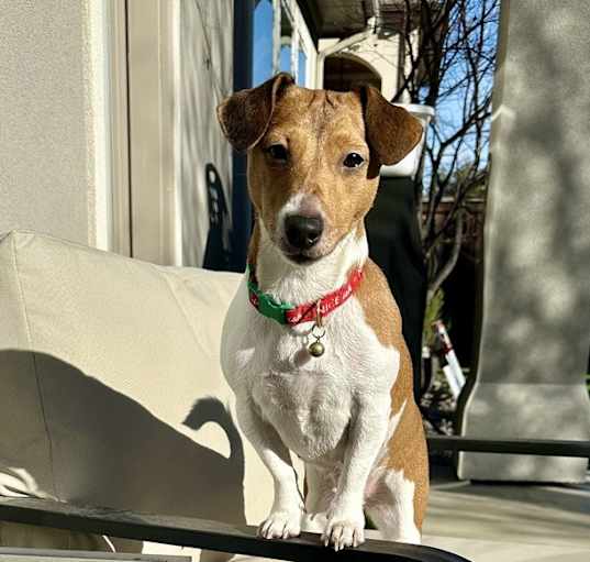 Photo of Akira