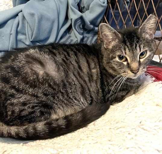 Photo of KITTY WARDEN