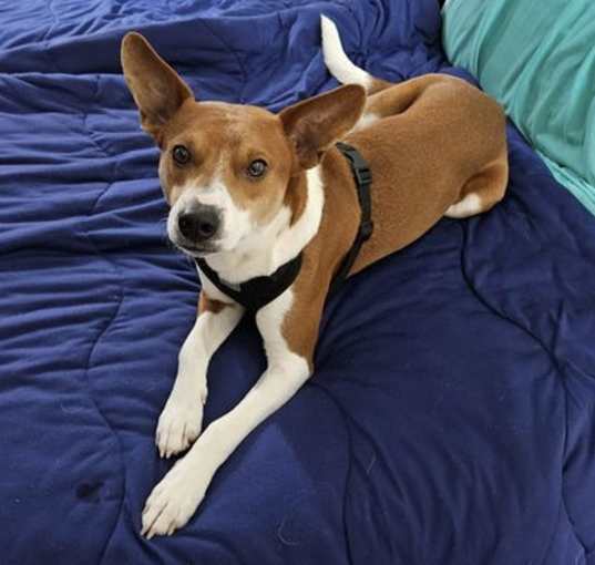 Photo of Pete