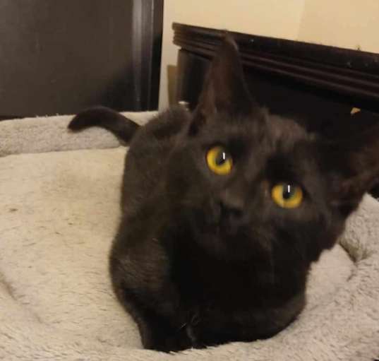 Photo of Lucky