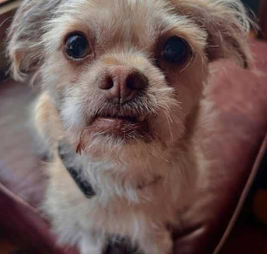 Photo of Angel