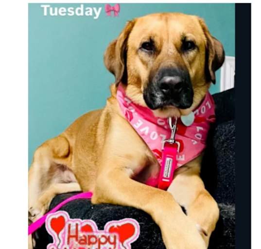Photo of Tuesday