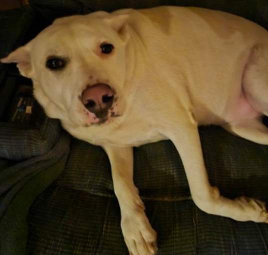 Photo of Angel