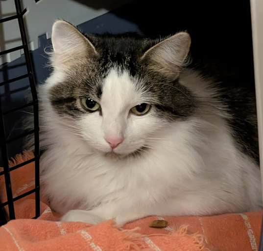 Photo of Elsa