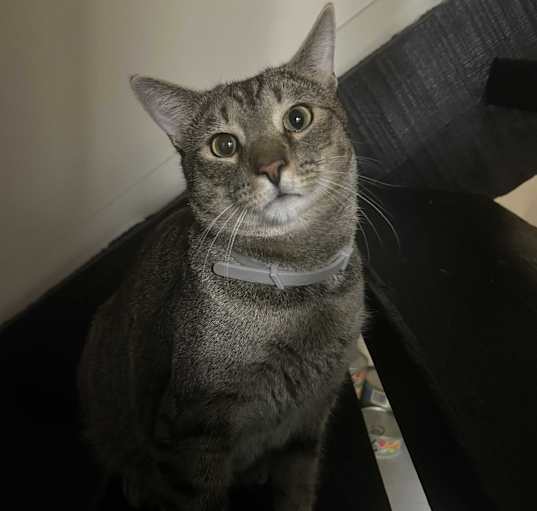 Photo of Ruti