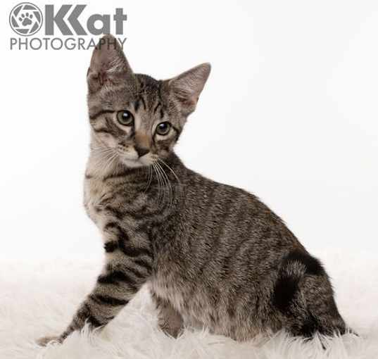 Photo of Claudius