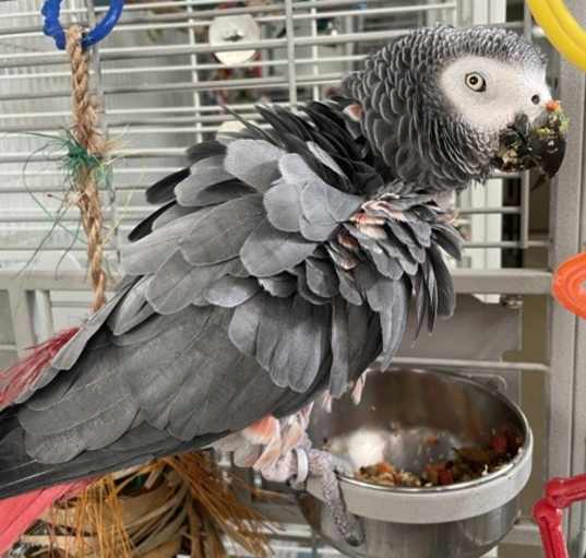 Photo of Paco