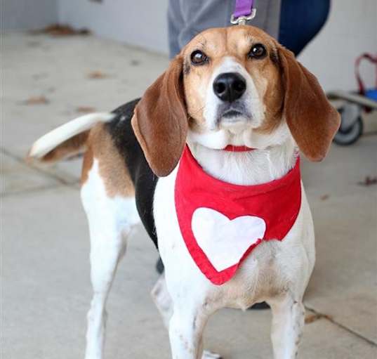 Photo of Lilly Lou