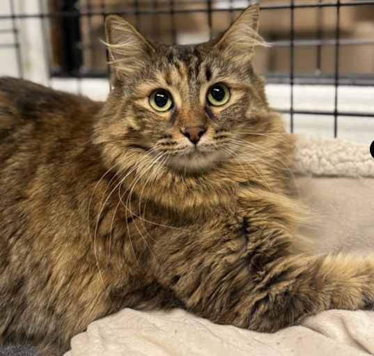 Photo of Mitzi