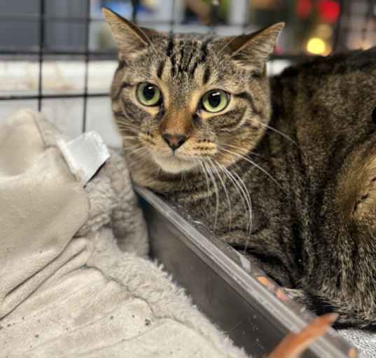 Photo of Fritzi