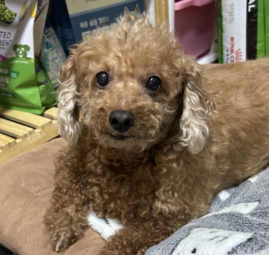 Photo of Aki