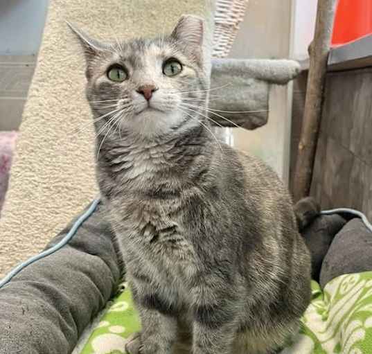 Photo of Rosie
