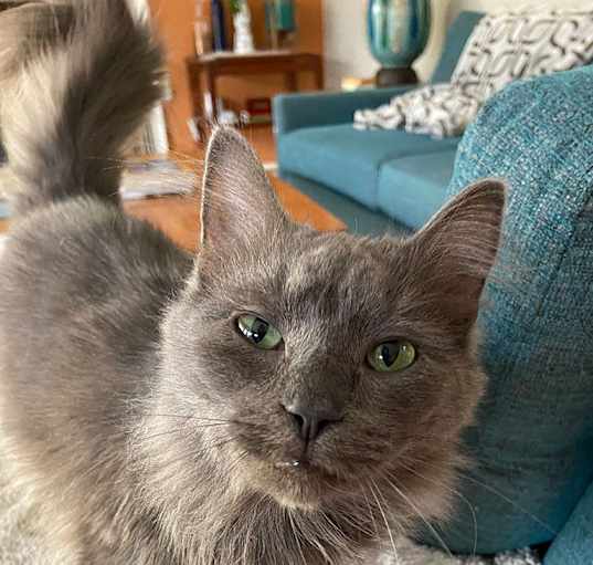 Photo of Rhonda