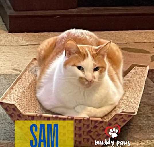 Photo of Sam