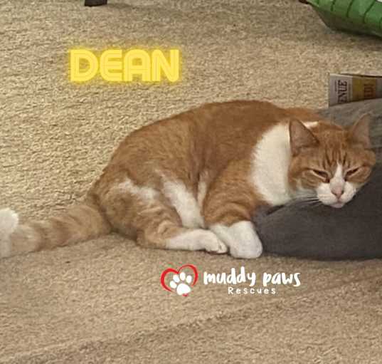 Photo of Dean