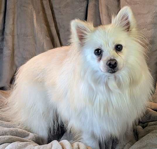 Photo of Snow White