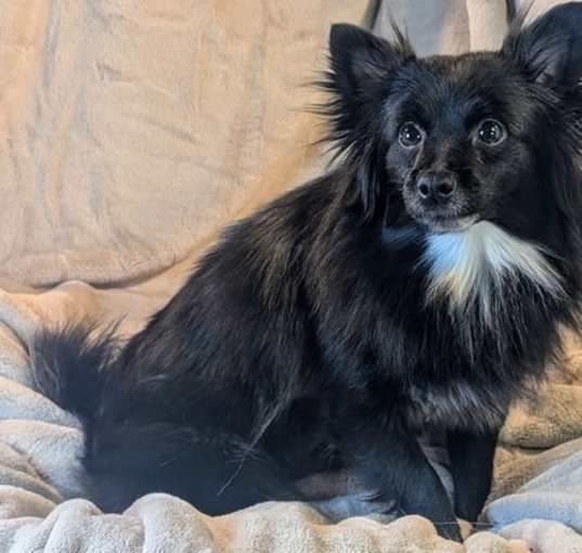 Photo of Sallie
